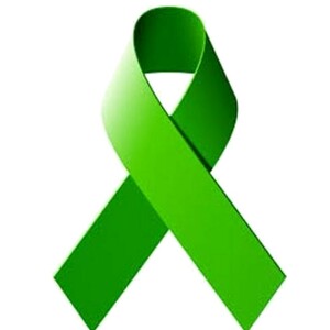 Fundraising Page: Anne Bosch